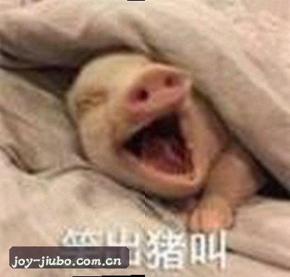 张涛